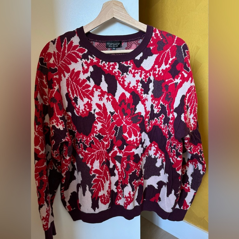 Topshop Sweater NWOT